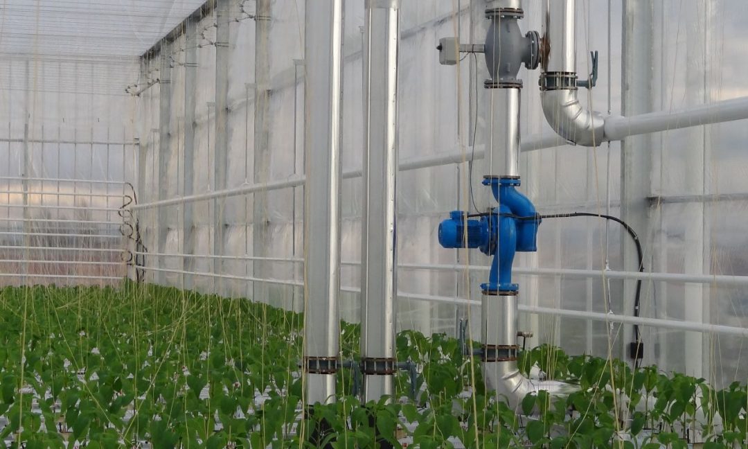 Heating Systems Prins Greenhouses