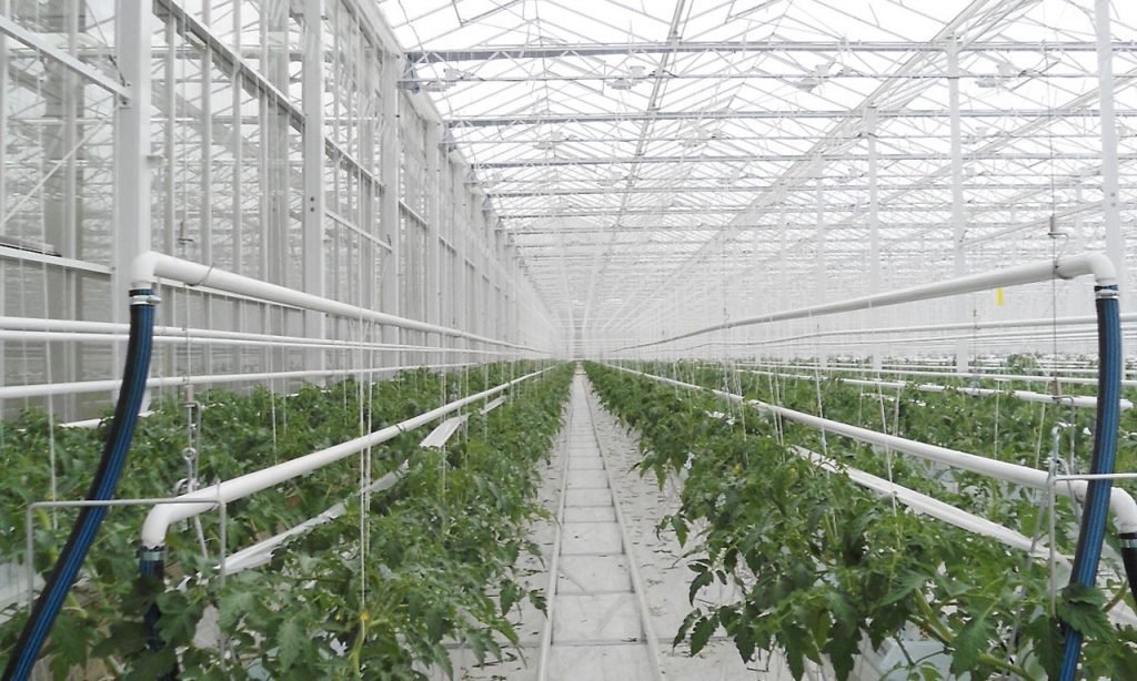 Heating Systems | Prins Greenhouses