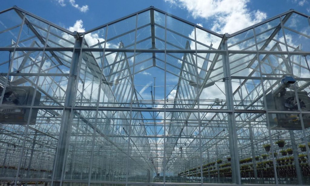 Open Roof Greenhouses Prins Greenhouses