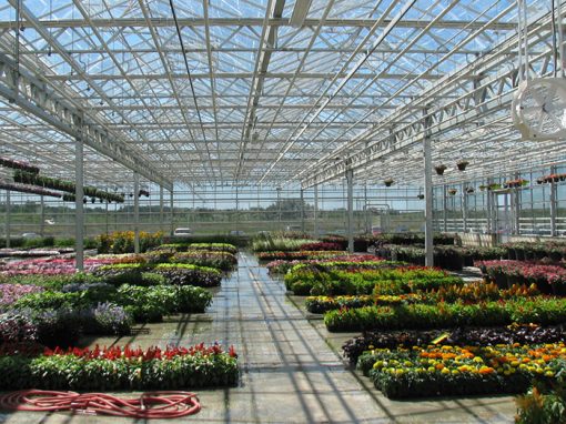 Irrigation, Controls, & Growing Systems | Prins Greenhouses