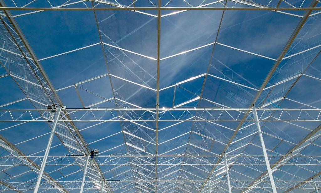 Photos Prins Greenhouses