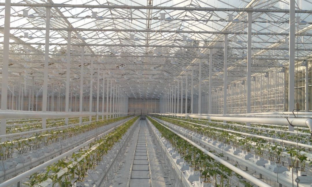Products Prins Greenhouses