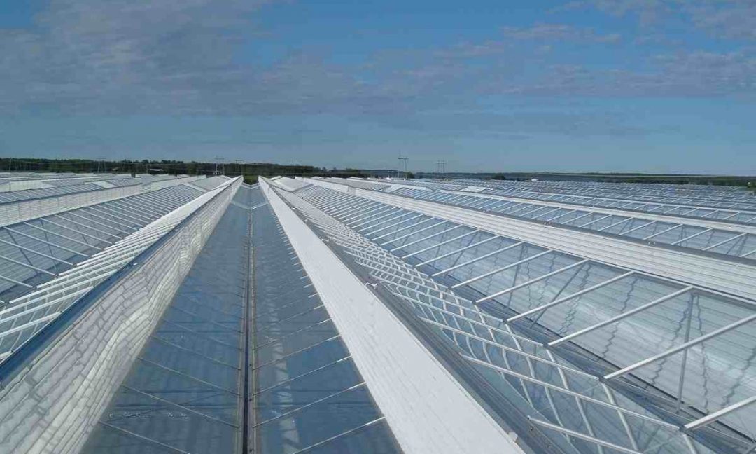 Venlo Greenhouses Prins Greenhouses