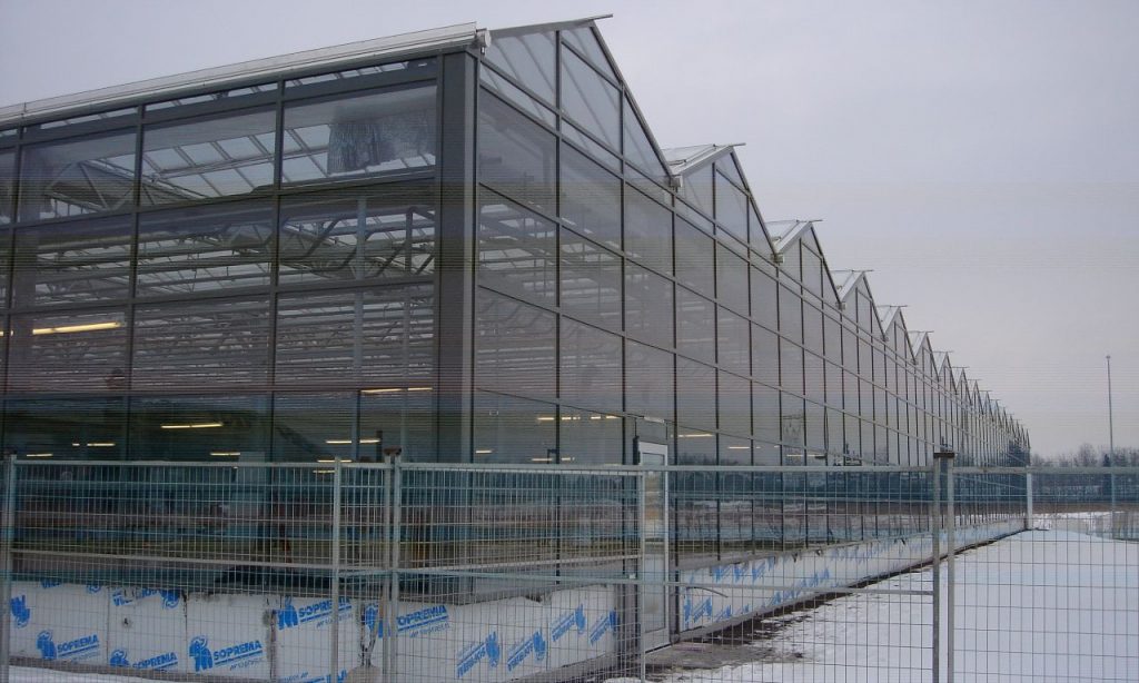 Photos Prins Greenhouses