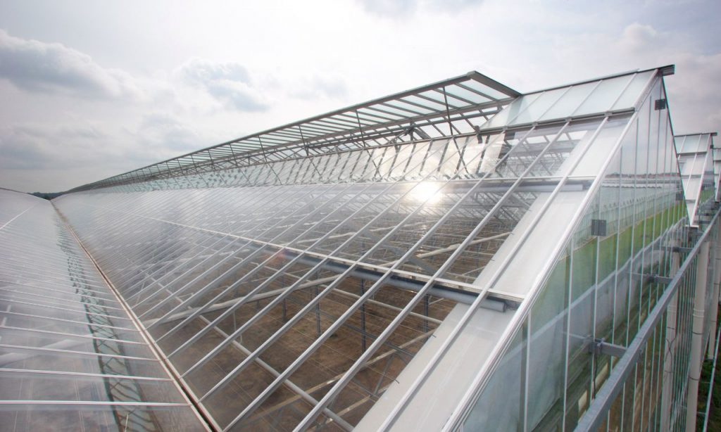 WideSpan Greenhouses Prins Greenhouses